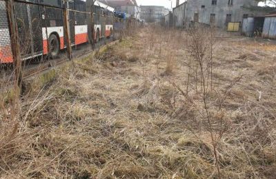 Kolejne dzikie wysypiska zlikwidowane